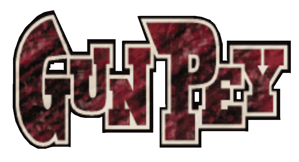 Gunpey logo for Playstation
